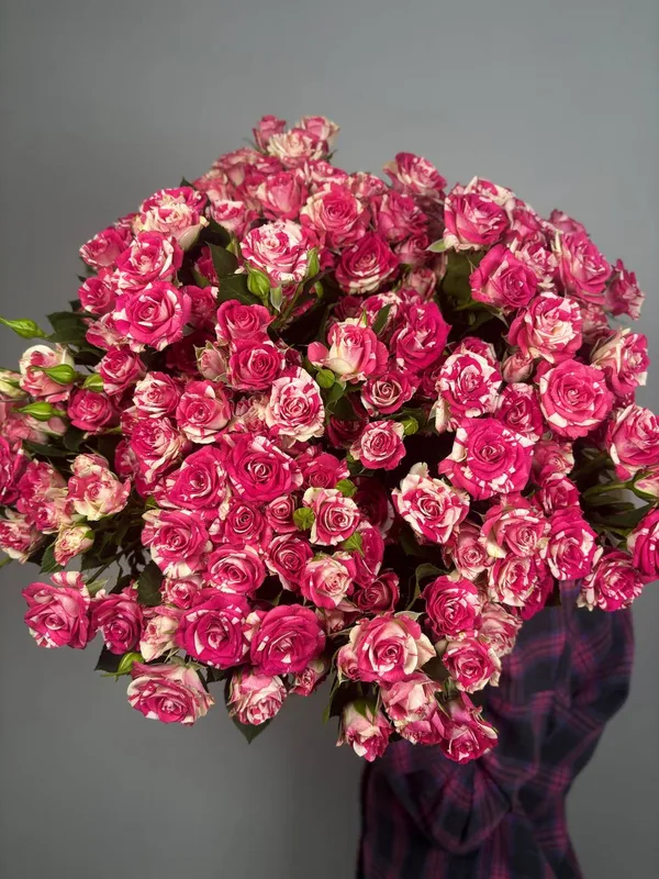 Кустовая роза (микс)